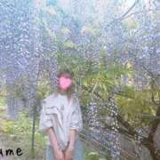 ヒメ日記 2025/04/15 13:20 投稿 春風　こうめ 福岡ホットポイント