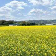 ヒメ日記 2025/04/19 11:20 投稿 春風　こうめ 福岡ホットポイント