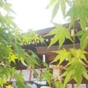 ヒメ日記 2025/05/01 19:30 投稿 春風　こうめ 福岡ホットポイント