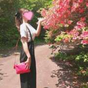 ヒメ日記 2025/05/02 11:20 投稿 春風　こうめ 福岡ホットポイント