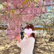 ヒメ日記 2025/05/03 11:00 投稿 春風　こうめ 福岡ホットポイント