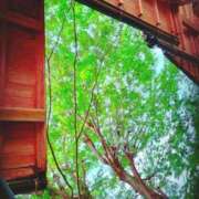 ヒメ日記 2025/05/24 10:00 投稿 春風　こうめ 福岡ホットポイント