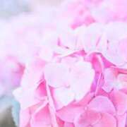 ヒメ日記 2025/05/27 12:01 投稿 春風　こうめ 福岡ホットポイント