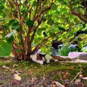 ヒメ日記 2025/05/28 12:30 投稿 春風　こうめ 福岡ホットポイント