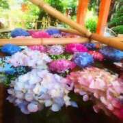 ヒメ日記 2025/06/01 18:31 投稿 春風　こうめ 福岡ホットポイント