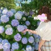 ヒメ日記 2025/06/07 12:20 投稿 春風　こうめ 福岡ホットポイント