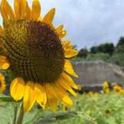 ヒメ日記 2025/07/24 21:01 投稿 春風　こうめ 福岡ホットポイント