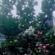 ヒメ日記 2025/08/05 08:50 投稿 春風　こうめ 福岡ホットポイント