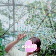 ヒメ日記 2025/08/13 12:15 投稿 春風　こうめ 福岡ホットポイント