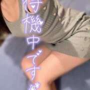 ヒメ日記 2025/04/10 17:20 投稿 篠田　まひる 福岡ホットポイント