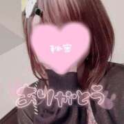 ヒメ日記 2025/03/03 00:40 投稿 秋葉　ふわり 福岡ホットポイント