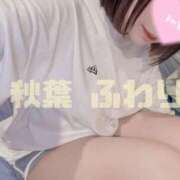 ヒメ日記 2025/04/19 19:50 投稿 秋葉　ふわり 福岡ホットポイント