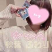 ヒメ日記 2025/04/23 23:50 投稿 秋葉　ふわり 福岡ホットポイント