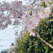 ヒメ日記 2025/05/17 14:50 投稿 秋葉　ふわり 福岡ホットポイント