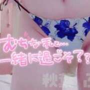 ヒメ日記 2025/07/18 17:00 投稿 秋葉　ふわり 福岡ホットポイント