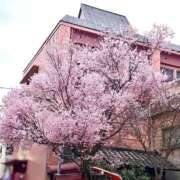 ヒメ日記 2026/04/01 18:21 投稿 ゆうか 仙台回春性感マッサージ倶楽部