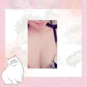 ヒメ日記 2025/03/03 06:10 投稿 藤村　かずは 福岡ホットポイント