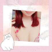 ヒメ日記 2025/05/29 06:00 投稿 藤村　かずは 福岡ホットポイント