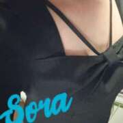 ヒメ日記 2025/07/25 12:11 投稿 そら エディーズ