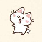 ヒメ日記 2025/08/15 08:07 投稿 そら エディーズ