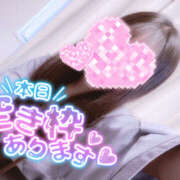 ヒメ日記 2025/06/02 13:00 投稿 みすず 姫コレクション