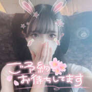 ヒメ日記 2025/06/08 14:30 投稿 みすず 姫コレクション