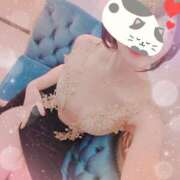 ヒメ日記 2025/03/15 01:05 投稿 りこ VIVIDCREW十三店