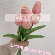 ヒメ日記 2025/03/12 18:00 投稿 きみか アロマエステ アイウィッシュ