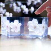 きみか きみか:4/18(金)ラプラヤのお客様 アロマエステ アイウィッシュ