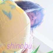 ヒメ日記 2025/05/02 14:46 投稿 しのぶ 八尾藤井寺羽曳野ちゃんこ