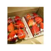 ヒメ日記 2025/04/30 14:10 投稿 橋岡まこと 宇都宮回春性感クリニック