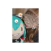 ヒメ日記 2025/05/03 15:46 投稿 橋岡まこと 宇都宮回春性感クリニック