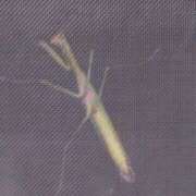 ヒメ日記 2025/09/29 15:32 投稿 樹（いつき） 奥様は痴女