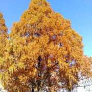 ヒメ日記 2026/01/13 16:42 投稿 樹（いつき） 奥様は痴女