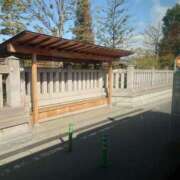 ヒメ日記 2026/02/13 07:24 投稿 樹（いつき） 奥様は痴女