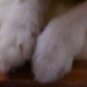 ヒメ日記 2026/03/19 13:32 投稿 樹（いつき） 奥様は痴女