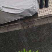 ヒメ日記 2026/08/23 07:24 投稿 樹（いつき） 奥様は痴女