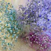 ヒメ日記 2025/07/13 15:20 投稿 早瀬澪 五十路マダム 新潟店(カサブランカグループ)