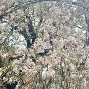 ヒメ日記 2025/04/03 19:59 投稿 あこ One More 奥様　松戸店