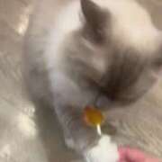 ヒメ日記 2025/06/19 19:24 投稿 月野りり デリス新宿