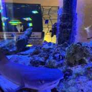 ヒメ日記 2025/10/25 20:44 投稿 月野りり デリス新宿