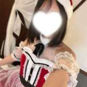 ヒメ日記 2025/11/15 00:07 投稿 月野りり デリス新宿