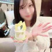 ヒメ日記 2025/12/15 00:44 投稿 月野りり デリス新宿