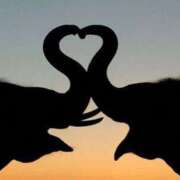 ヒメ日記 2025/12/30 18:44 投稿 なお One More 奥様　松戸店