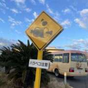 ヒメ日記 2026/01/10 18:54 投稿 なお One More 奥様　松戸店