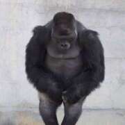 ヒメ日記 2026/01/14 15:54 投稿 なお One More 奥様　松戸店