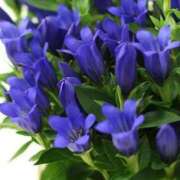 ヒメ日記 2025/08/20 23:14 投稿 ねいろ 即アポ奥さん ～津・松阪店～