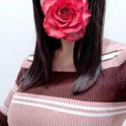 ヒメ日記 2025/05/30 13:15 投稿 しおん Я`s EVOL(アールズ エボル)