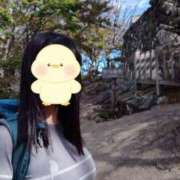 ヒメ日記 2025/10/31 14:15 投稿 しおん Я`s EVOL(アールズ エボル)