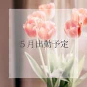 ヒメ日記 2025/04/29 18:02 投稿 みなみ Versailles